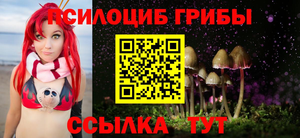 Псилоцибиновые грибы Magic Shrooms Всеволожск